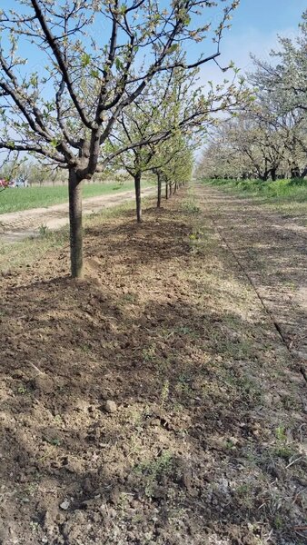 Movilita / Vrancea - 5000 mp