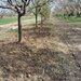 Movilita / Vrancea - 5000 mp